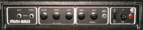 Garnet Mini Bass Controls