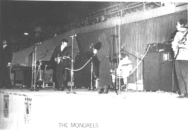 "The Mongrels&quot